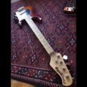 ErnieBall-MusicMan StingRay5